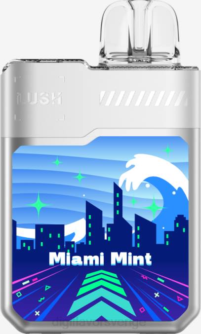 miami mynta